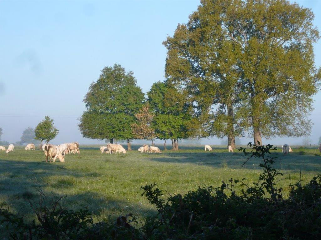 Bed and Breakfast La Thibaude - Livry Livry  Exteriér fotografie
